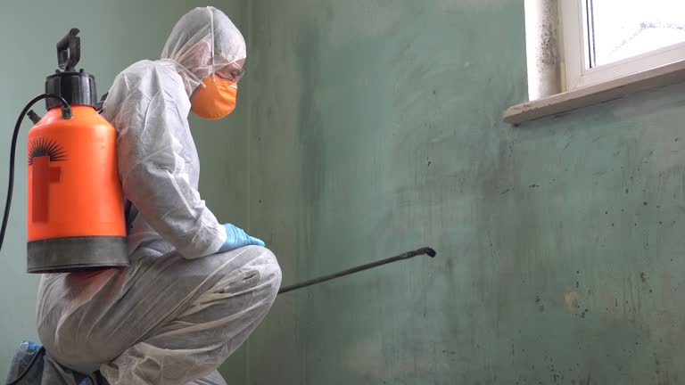 Why You Should Choose Our Mold Remediation Services in Discovery Bay, CA